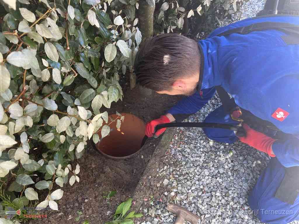 Rioolvliegjes Terneuzen
